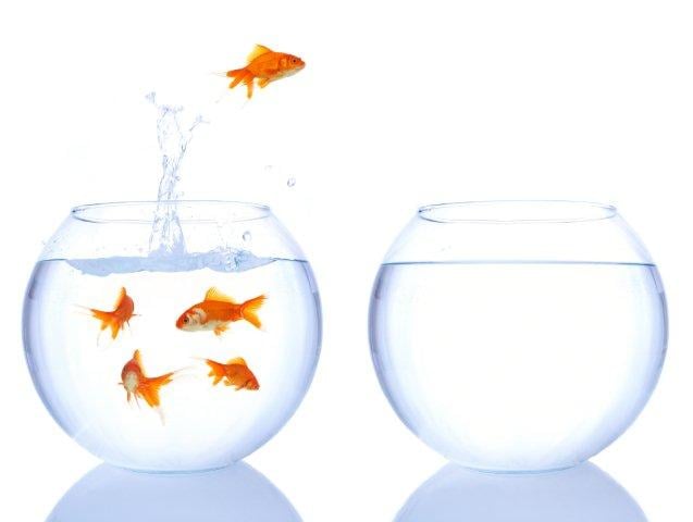 outsource