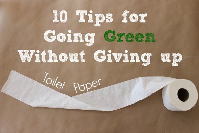 10-Tips-for-Going-Green-Without-Giving-Up-Toilet-Paper.jpg