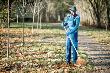 Man raking leaves in park.