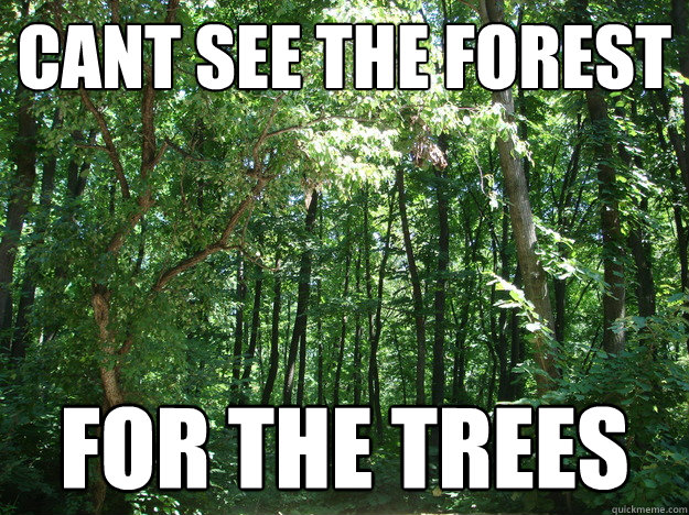 Cant see the forest for the trees.jpg