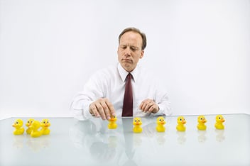 Ducks-in-a-row.jpg
