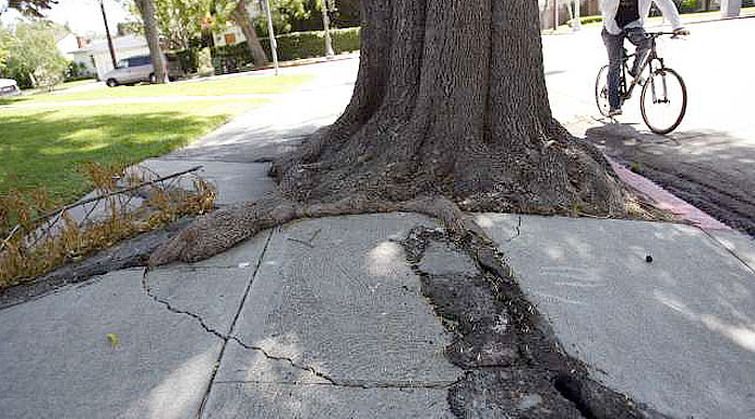 cracked-sidewalk