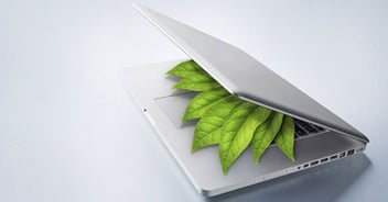 leaf-laptop.jpg