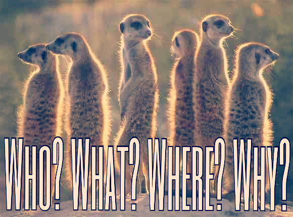 CMMS Will Tell You Who, What, Where and When