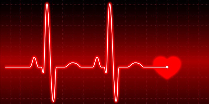 heart-rate-monitor-ecg